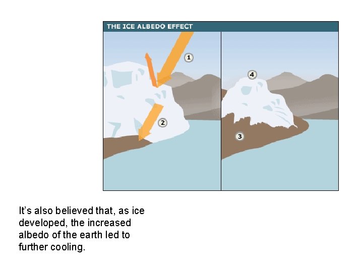 It’s also believed that, as ice developed, the increased albedo of the earth led