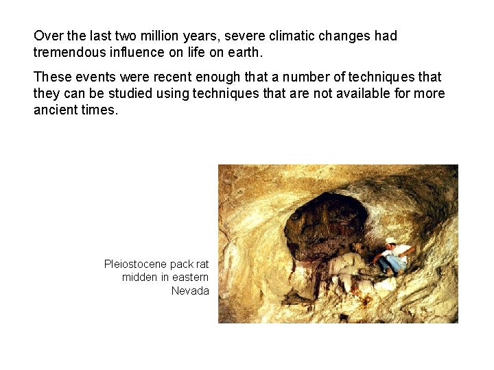 Over the last two million years, severe climatic changes had tremendous influence on life