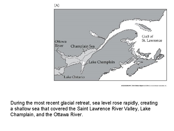 During the most recent glacial retreat, sea level rose rapidly, creating a shallow sea During the most recent glacial retreat, sea level rose rapidly, creating a shallow sea