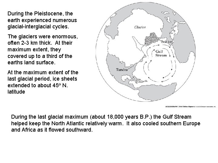 During the Pleistocene, the earth experienced numerous glacial-interglacial cycles. The glaciers were enormous, often