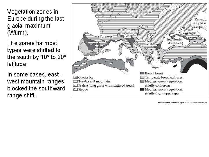 Vegetation zones in Europe during the last glacial maximum (Würm). The zones for most