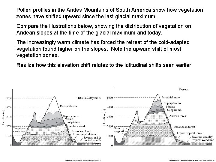 Pollen profiles in the Andes Mountains of South America show vegetation zones have shifted