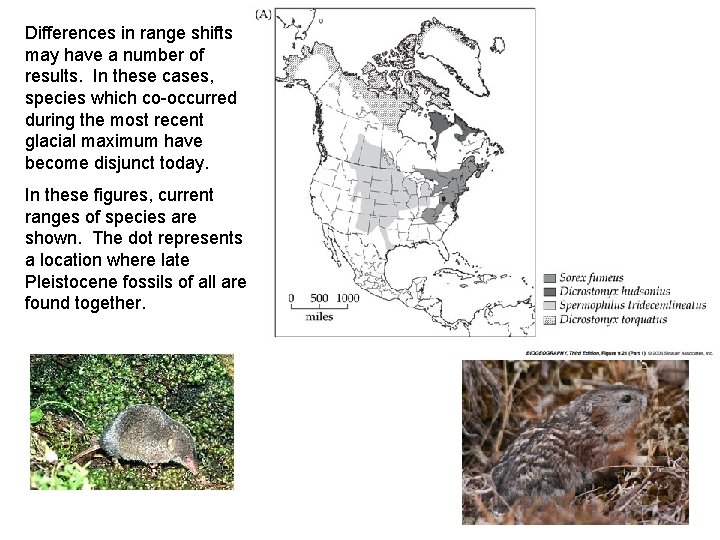 Differences in range shifts may have a number of results. In these cases, species