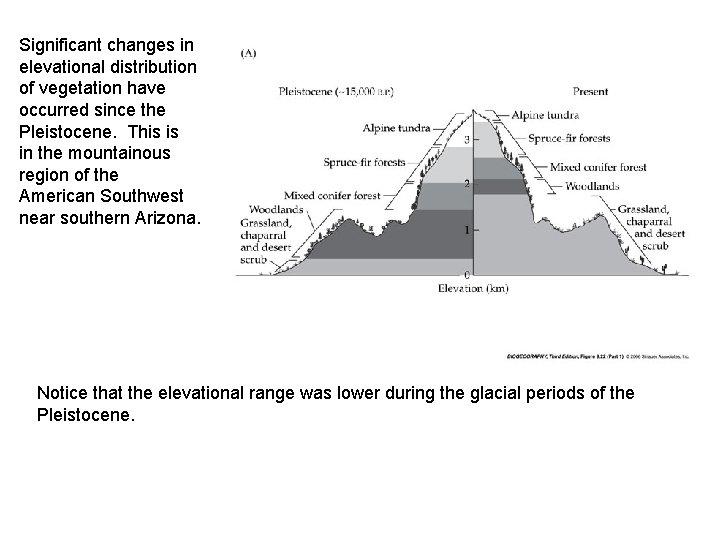 Significant changes in elevational distribution of vegetation have occurred since the Pleistocene. This is