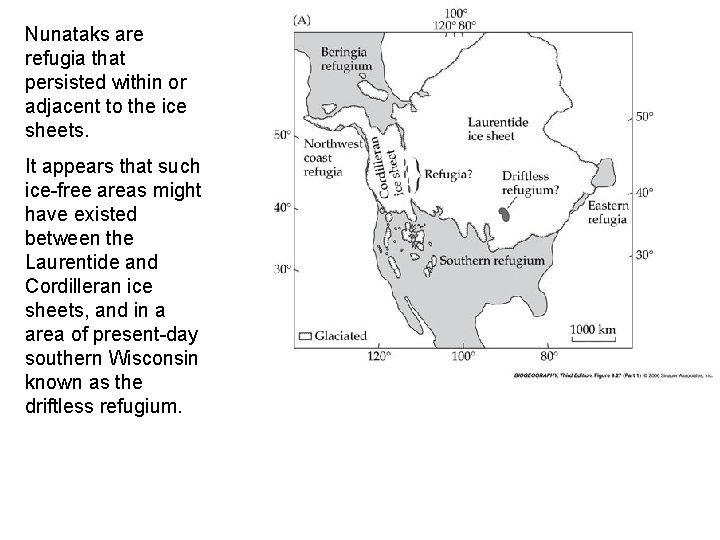 Nunataks are refugia that persisted within or adjacent to the ice sheets. It appears