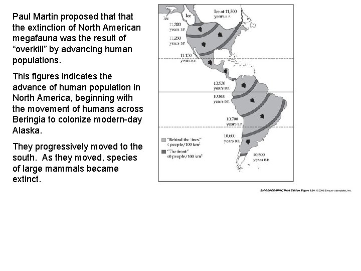 Paul Martin proposed that the extinction of North American megafauna was the result of