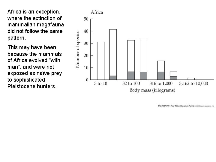 Africa is an exception, where the extinction of mammalian megafauna did not follow the