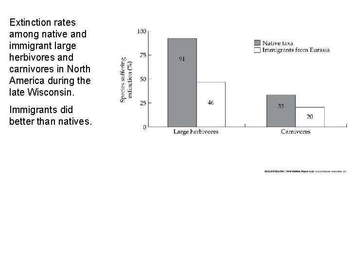 Extinction rates among native and immigrant large herbivores and carnivores in North America during