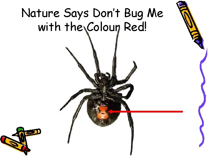 Nature Says Don’t Bug Me with the Colour Red! 