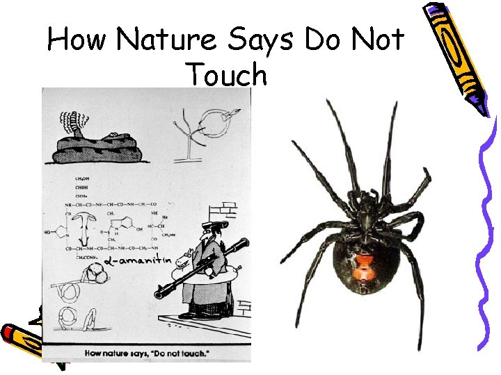 How Nature Says Do Not Touch 