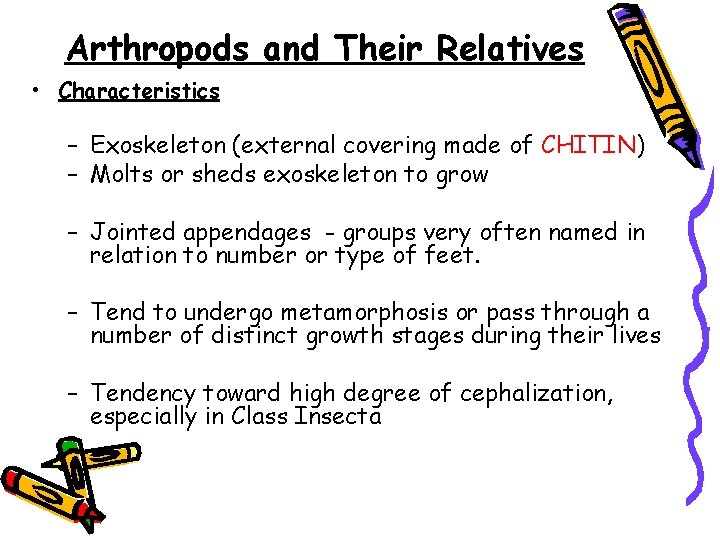 Arthropods and Their Relatives • Characteristics – Exoskeleton (external covering made of CHITIN) –