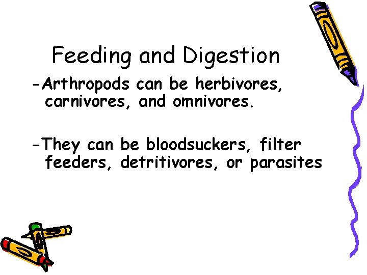 Feeding and Digestion -Arthropods can be herbivores, carnivores, and omnivores. -They can be bloodsuckers,