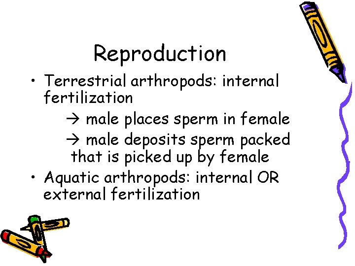 Reproduction • Terrestrial arthropods: internal fertilization male places sperm in female deposits sperm packed