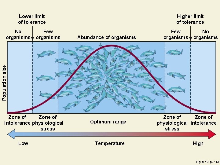 Lower limit of tolerance Few organisms Abundance of organisms Few organisms No organisms Population