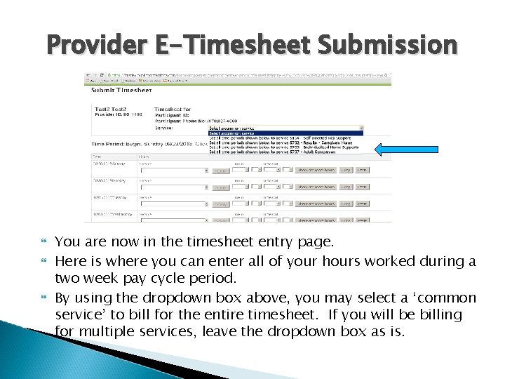 Provider E-Timesheet Submission You are now in the timesheet entry page. Here is where