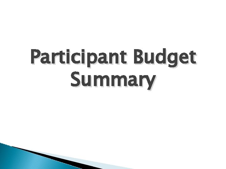 Participant Budget Summary 
