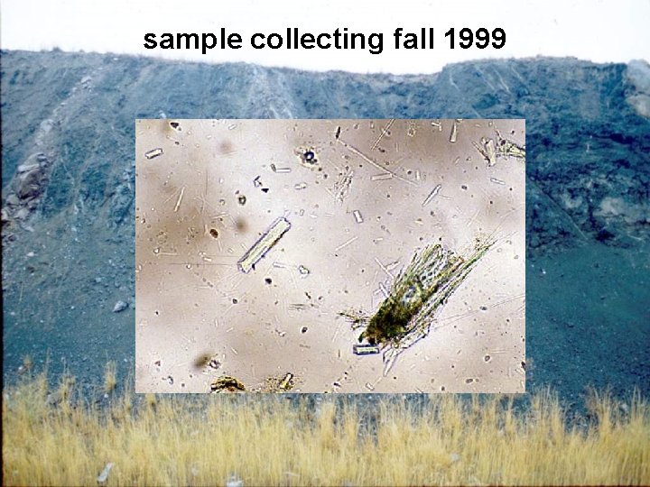 sample collecting fall 1999 