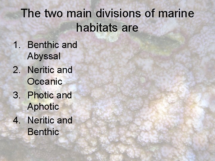 The two main divisions of marine habitats are 1. Benthic and Abyssal 2. Neritic