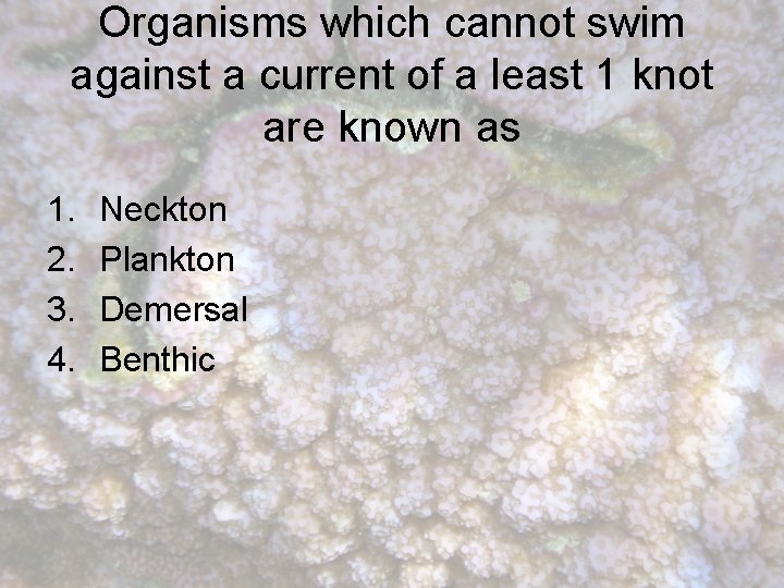 Organisms which cannot swim against a current of a least 1 knot are known