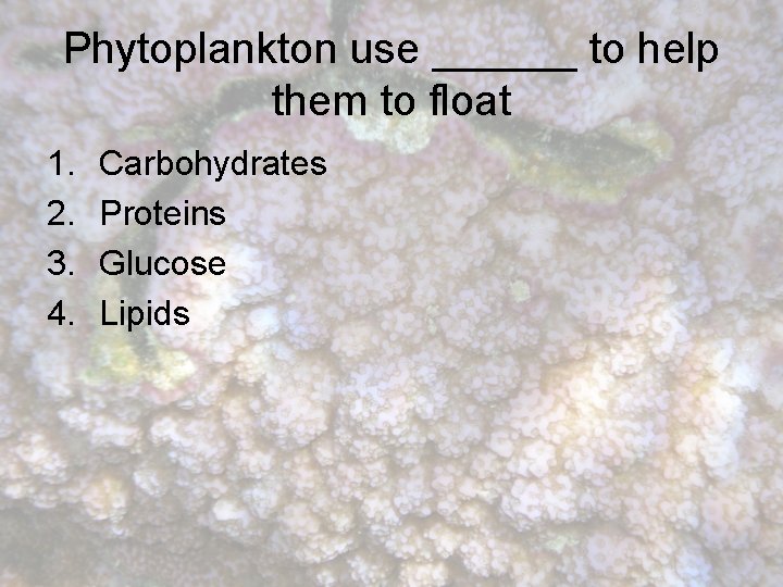 Phytoplankton use ______ to help them to float 1. 2. 3. 4. Carbohydrates Proteins