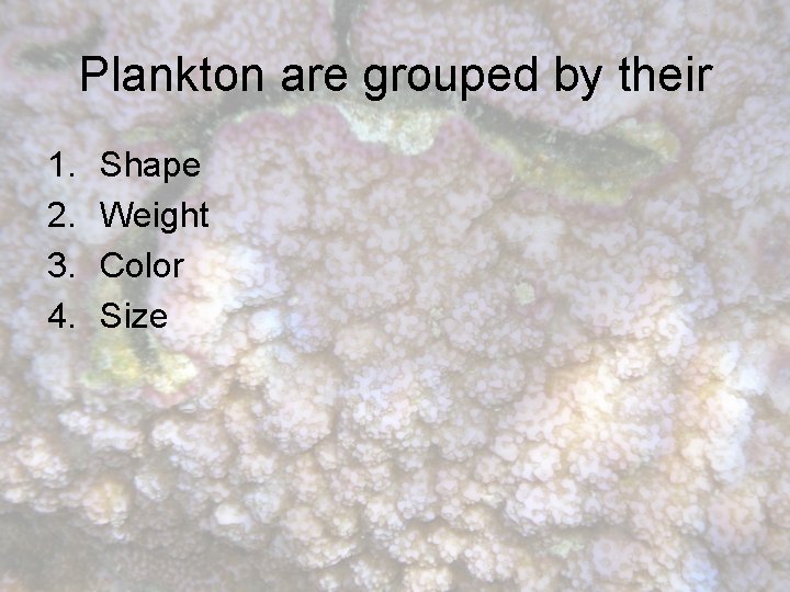 Plankton are grouped by their 1. 2. 3. 4. Shape Weight Color Size 