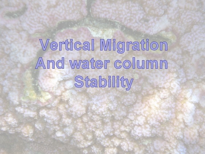 Vertical Migration And water column Stability 