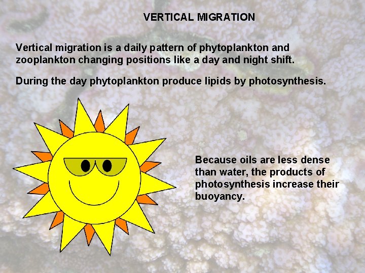 VERTICAL MIGRATION Vertical migration is a daily pattern of phytoplankton and zooplankton changing positions