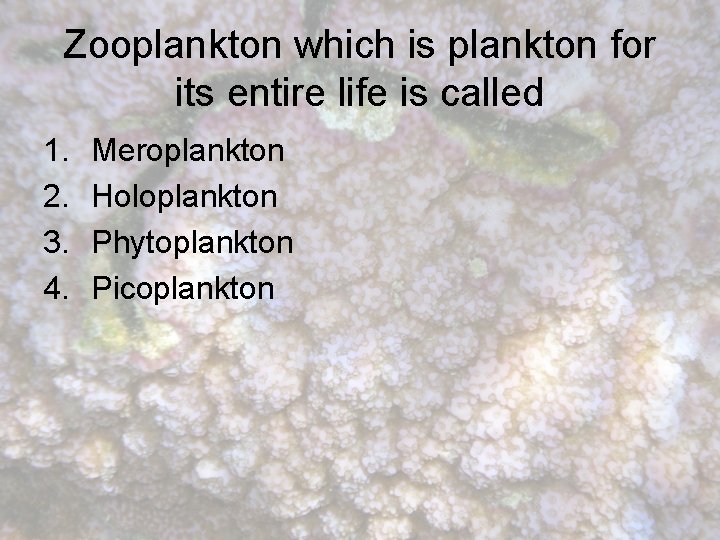 Zooplankton which is plankton for its entire life is called 1. 2. 3. 4.