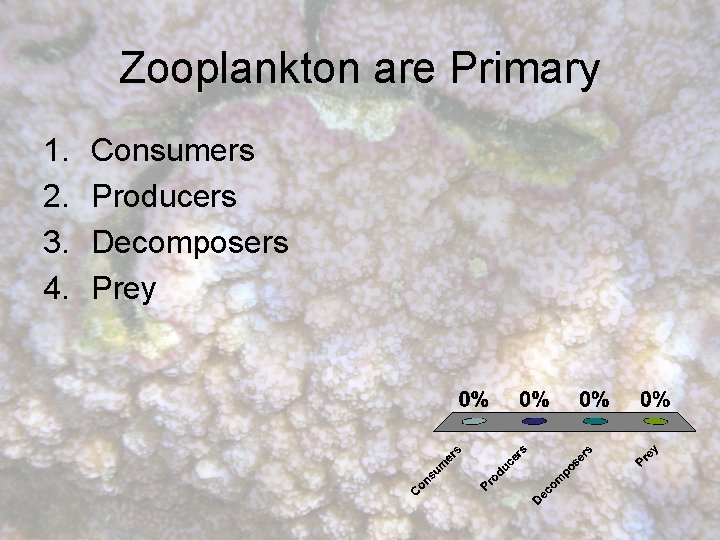 Zooplankton are Primary 1. 2. 3. 4. Consumers Producers Decomposers Prey 