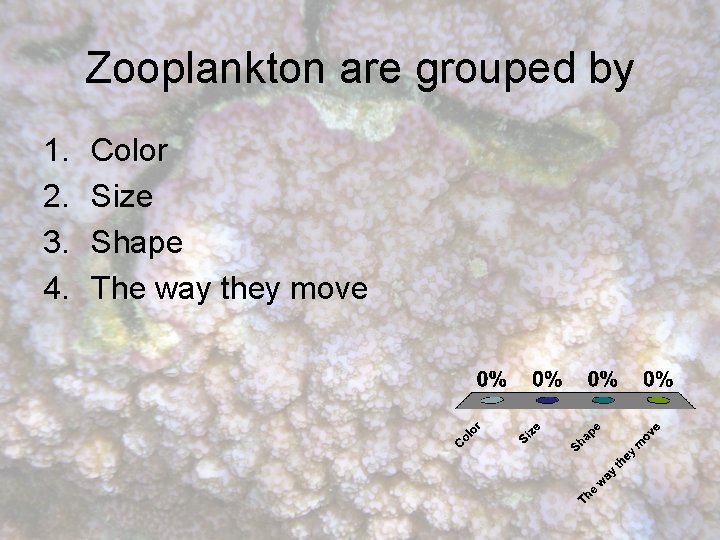 Zooplankton are grouped by 1. 2. 3. 4. Color Size Shape The way they