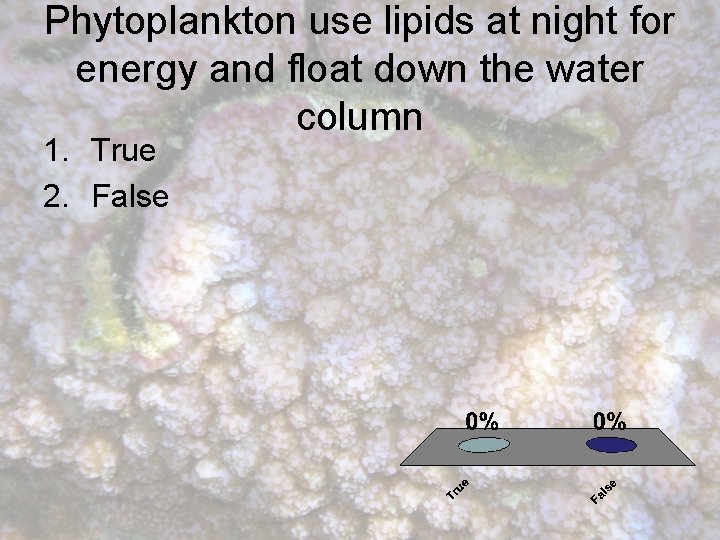 Phytoplankton use lipids at night for energy and float down the water column 1.