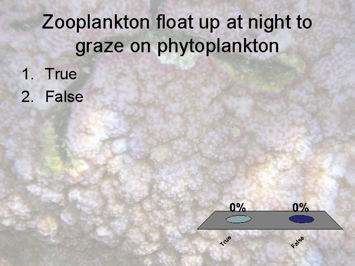 Zooplankton float up at night to graze on phytoplankton 1. True 2. False 