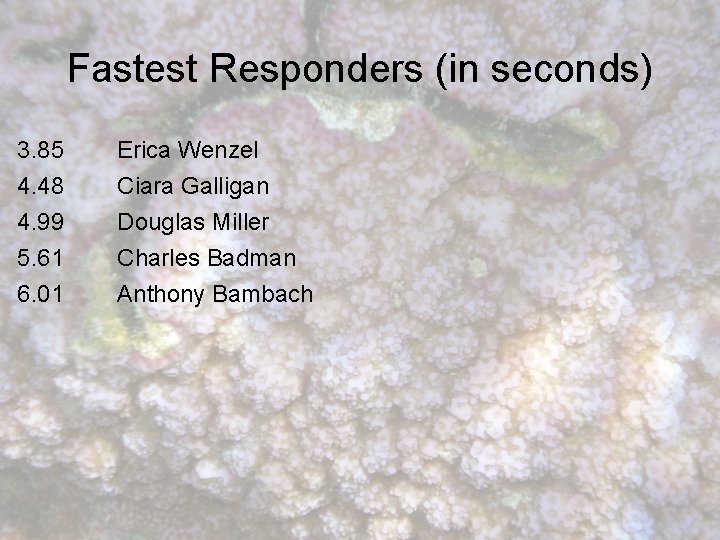 Fastest Responders (in seconds) 3. 85 4. 48 4. 99 5. 61 Erica Wenzel