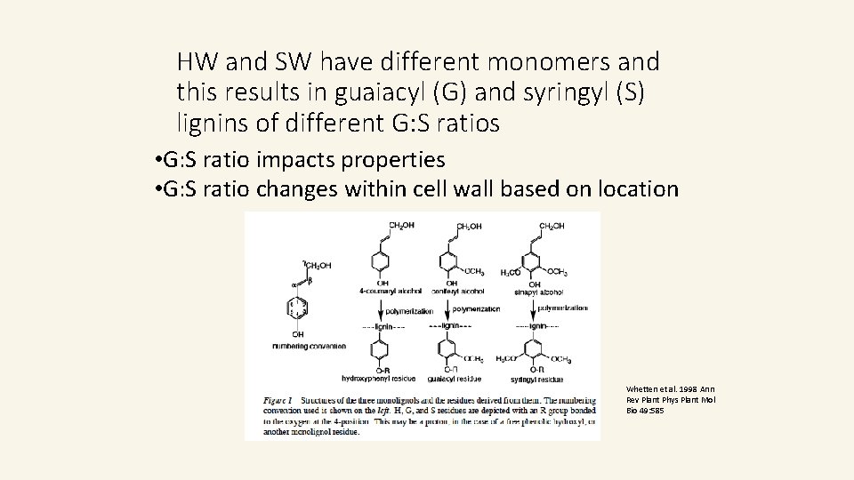 HW and SW have different monomers and this results in guaiacyl (G) and syringyl HW and SW have different monomers and this results in guaiacyl (G) and syringyl