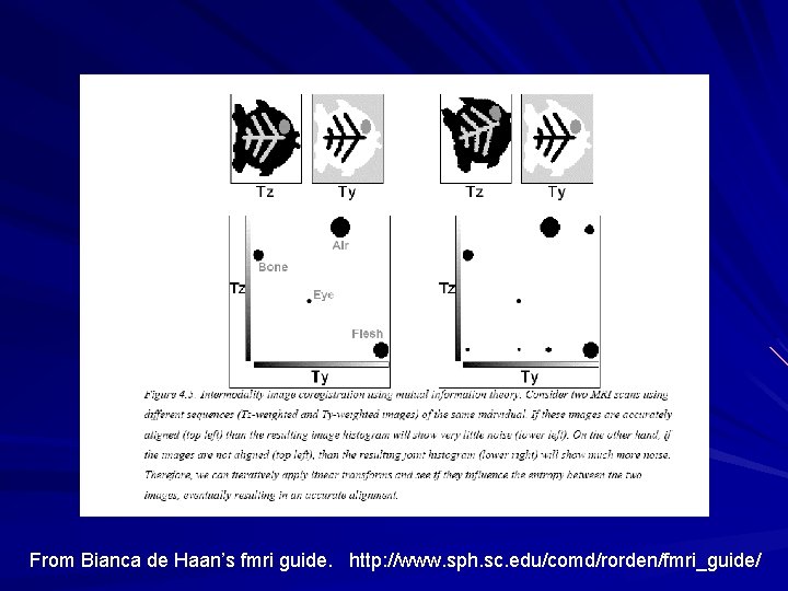 From Bianca de Haan’s fmri guide. http: //www. sph. sc. edu/comd/rorden/fmri_guide/ 