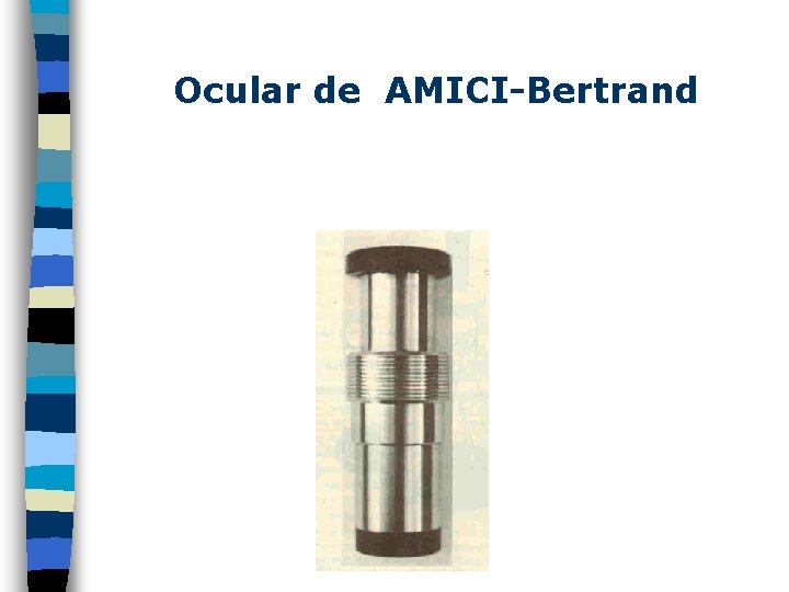 Ocular de AMICI-Bertrand 