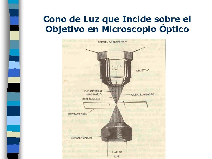 Cono de Luz que Incide sobre el Objetivo en Microscopio Óptico 