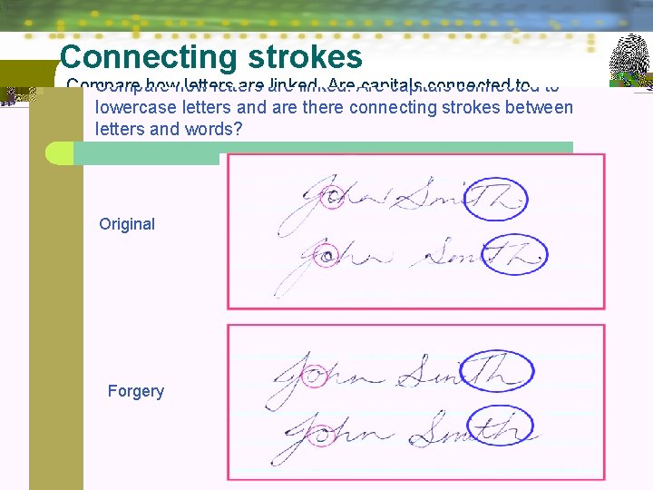 Connecting strokes Compare how letters are linked. Are capitals connected to lowercase letters and