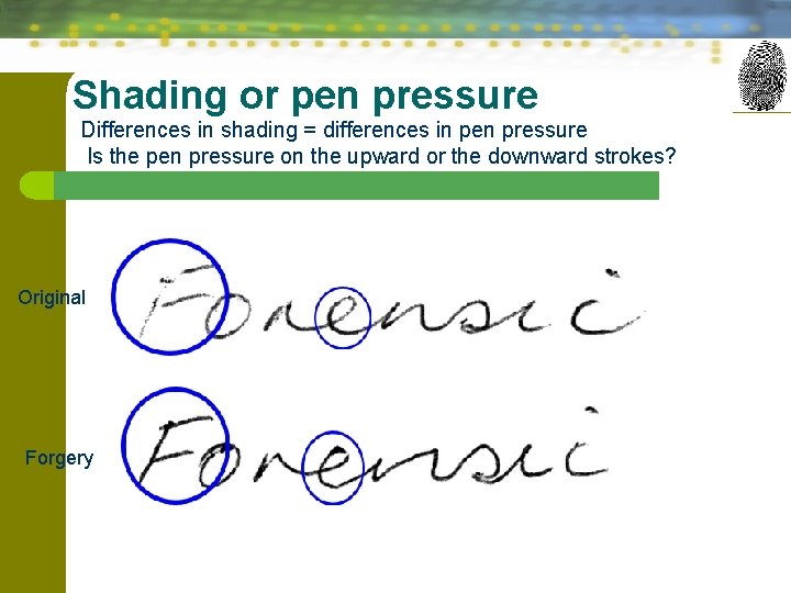 Shading or pen pressure Differences in shading = differences in pen pressure Is the