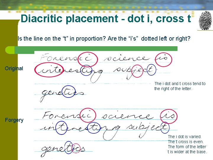 Diacritic placement - dot i, cross t Is the line on the “t” in