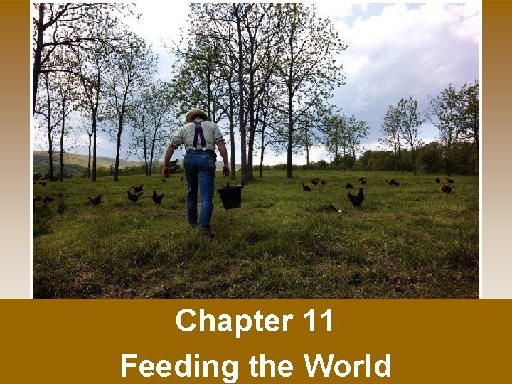 Chapter 11 Feeding the World 