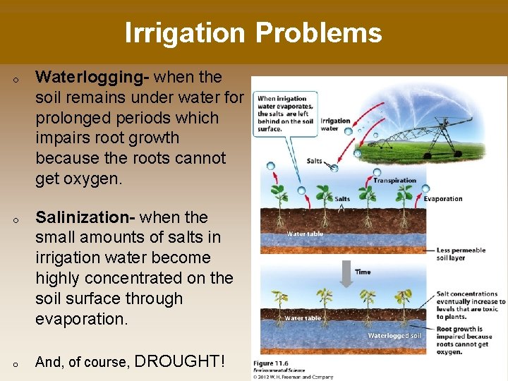 Irrigation Problems o o o Waterlogging- when the soil remains under water for prolonged