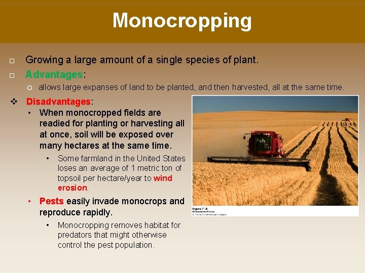 Monocropping Growing a large amount of a single species of plant. Advantages: Advantages allows