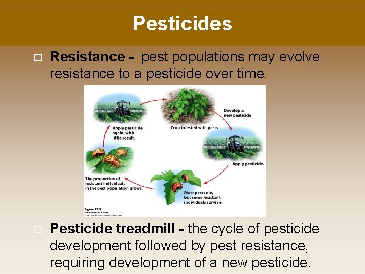 Pesticides Resistance - pest populations may evolve resistance to a pesticide over time. Pesticide