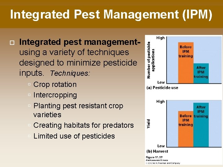 Integrated Pest Management (IPM) Integrated pest managementusing a variety of techniques designed to minimize