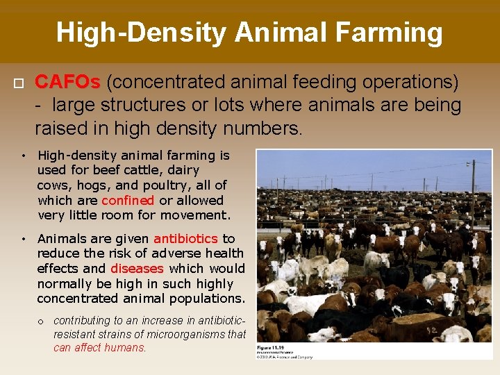 High-Density Animal Farming CAFOs (concentrated animal feeding operations) - large structures or lots where