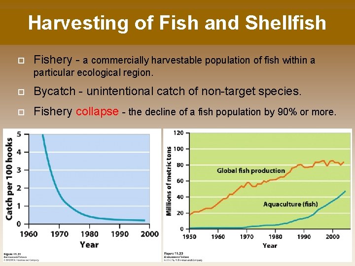 Harvesting of Fish and Shellfish Fishery - a commercially harvestable population of fish within