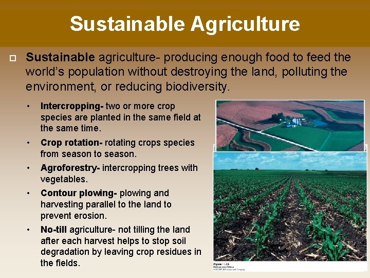 Sustainable Agriculture Sustainable agriculture- producing enough food to feed the world’s population without destroying