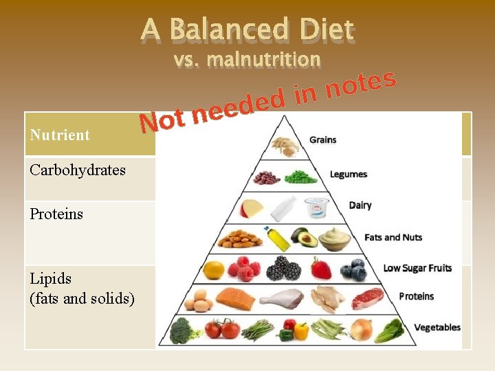 A Balanced Diet vs. malnutrition Nutrient e d e ot ne NFunction s e