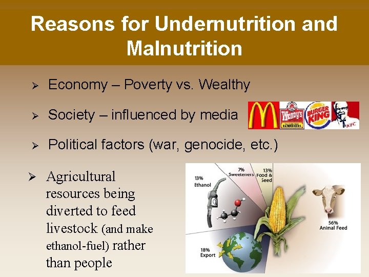 Reasons for Undernutrition and Malnutrition Ø Economy – Poverty vs. Wealthy Ø Society –